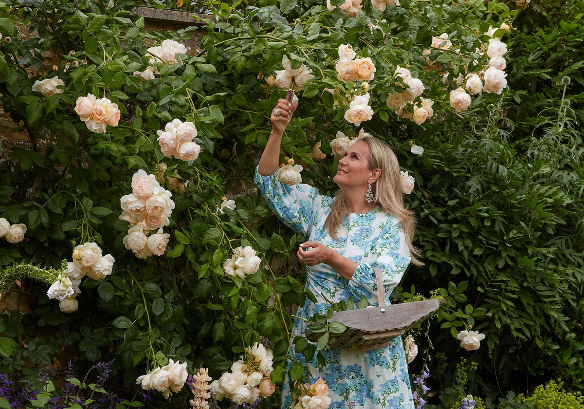 ‘An English Butterfly Garden’ Katharine Pooley for Fromental