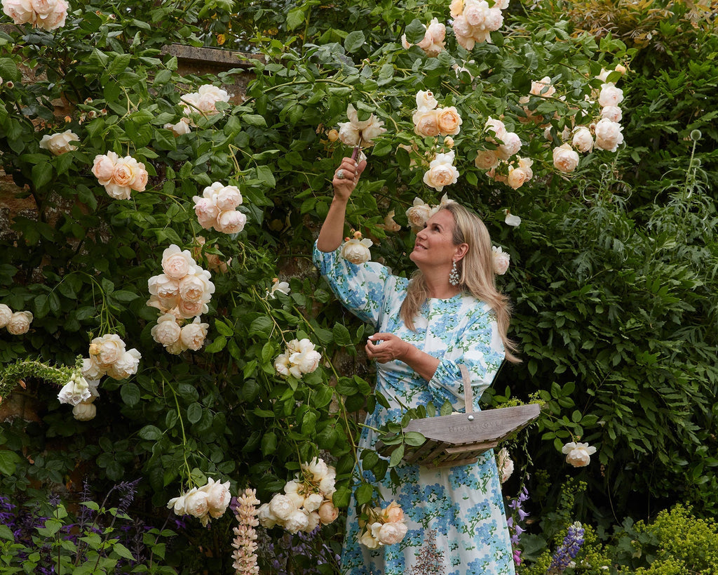 ‘An English Butterfly Garden’ Katharine Pooley for Fromental