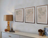 Tuscan Artwork - Olive Grove