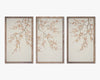 Pandora Artwork - Prunus