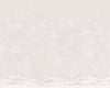 Stucco Grey - Rocaille