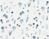 Cyanotype - Spring Fever