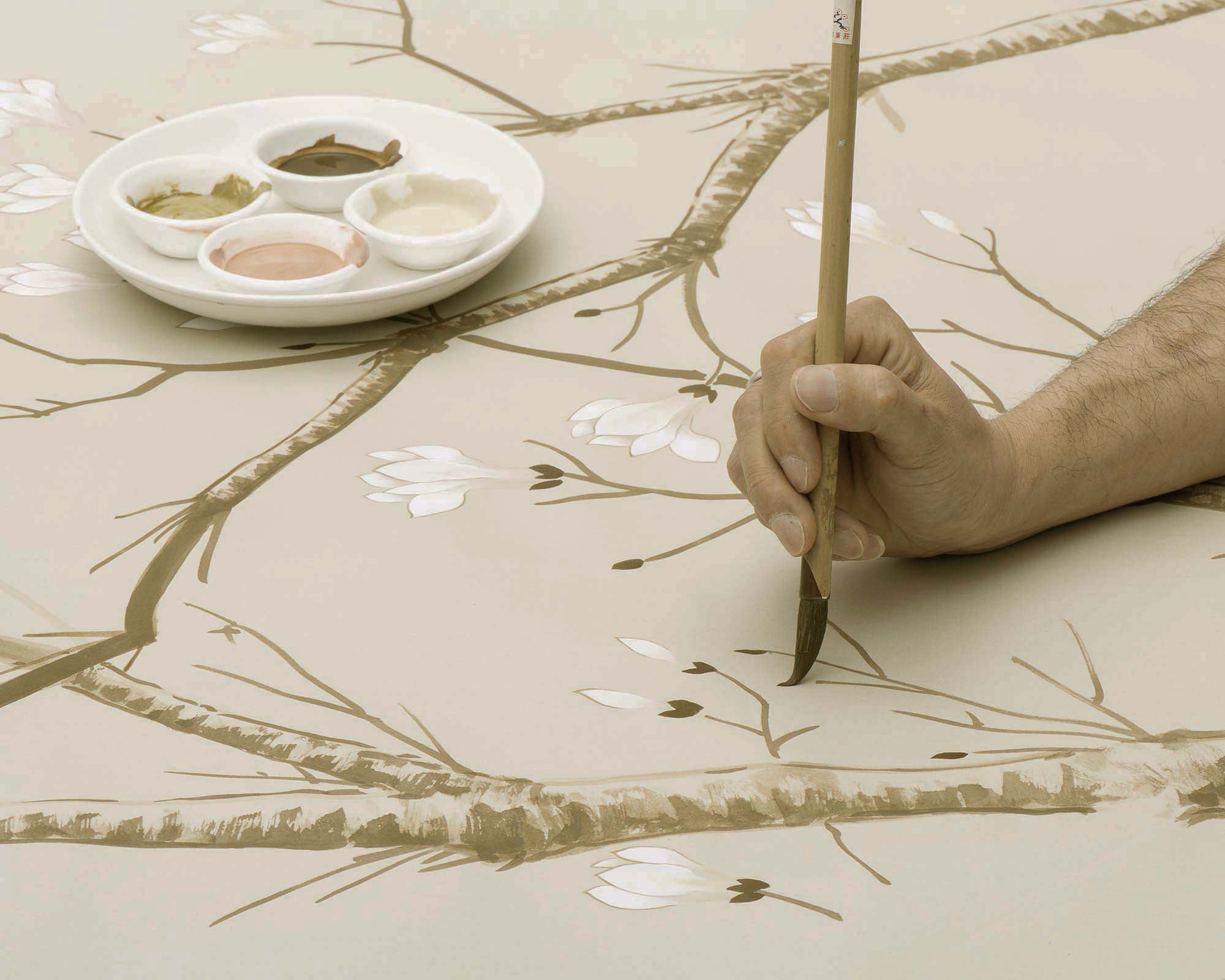 Shell Pink - Magnolia